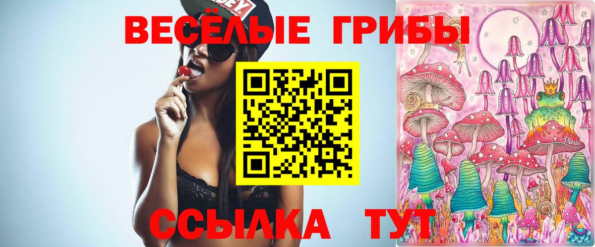 Можга  Псилоцибиновые грибы GOLDEN TEACHER  Вход с VPN 